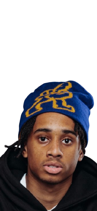 Splithems Reversible Logo Beanie
